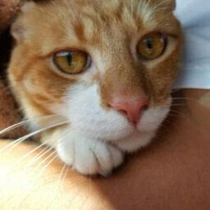 Meet your Posher, Blanca